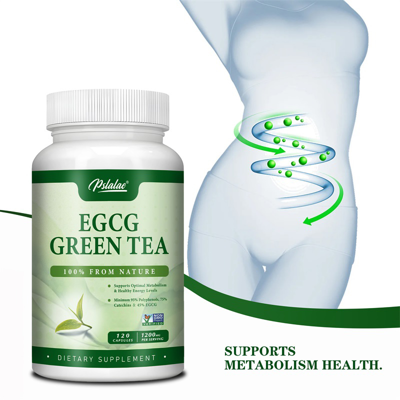Green Tea Extract Fat - Extrato de chá verde EGCG, Aumenta