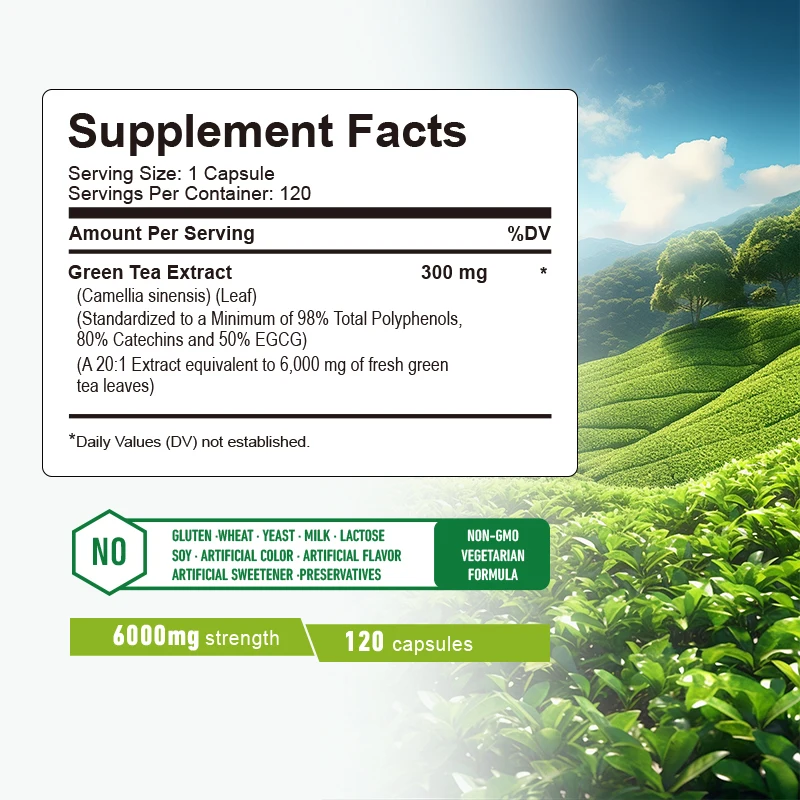 Cápsulas de chá verde - aument - Green Tea Extract Fat avaliação e preço