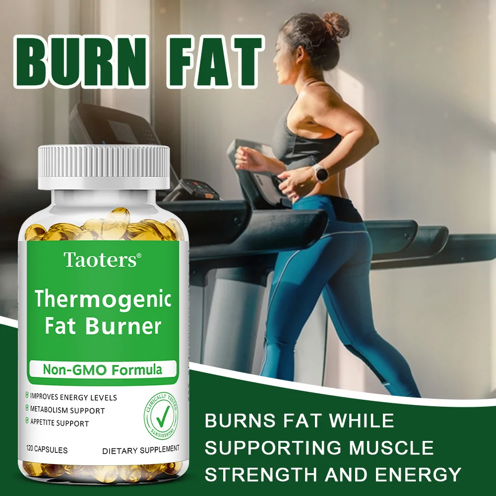 Extrato de chá verde - com vin - Green Tea Extract Fat avaliação e preço
