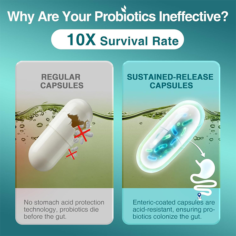 Probióticos para Saúde Digesti - Probiotic 60 Billion avaliação e preço