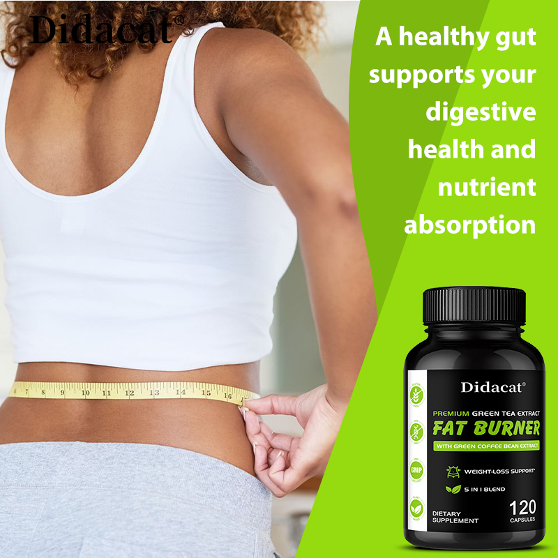 Garcinia Cambogia, Extrato de  - Green Tea Extract Fat avaliação e preço