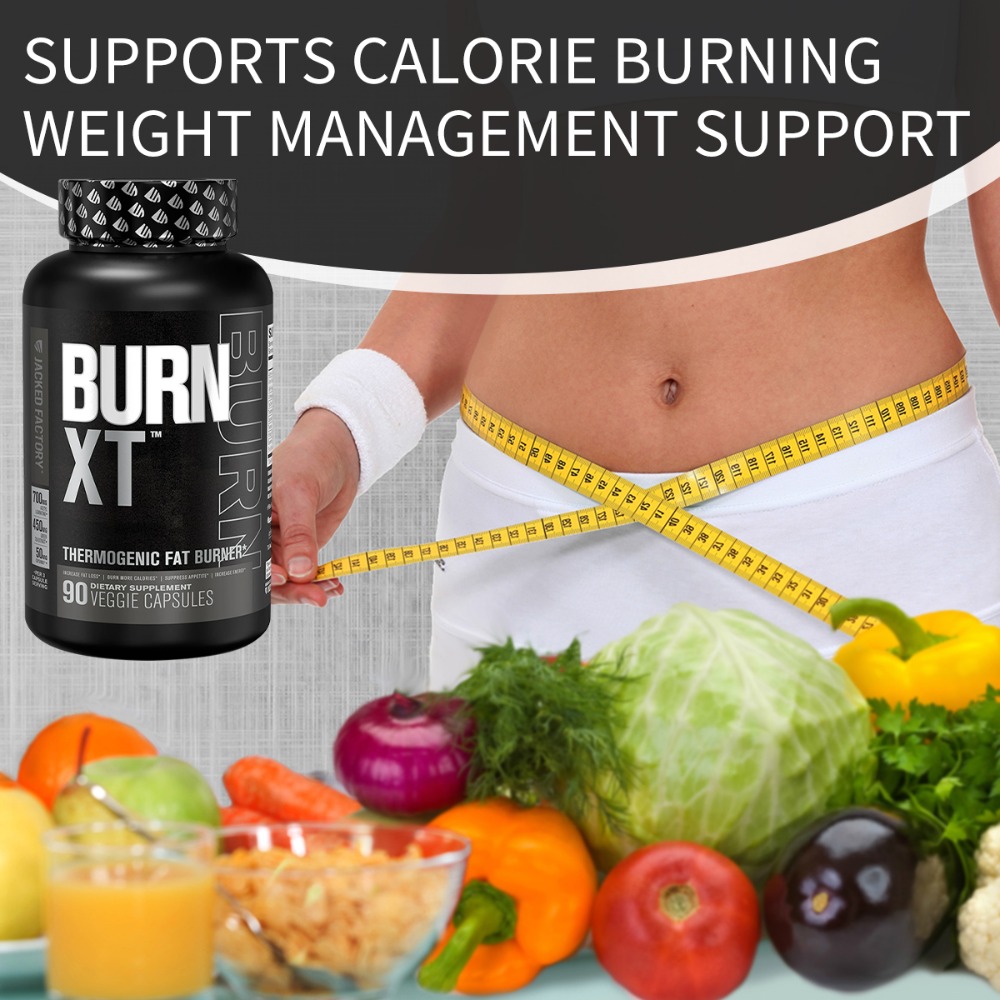 Burn XT Queimador de Gordura T - Green Tea Extract Fat avaliação e preço