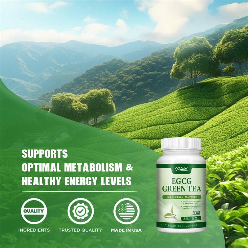 Extrato de chá verde EGCG, Aum - Green Tea Extract Fat avaliação e preço