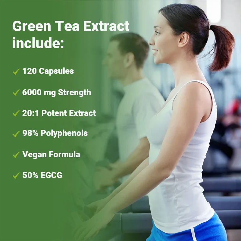 Cápsulas de Chá Verde - Queima - Green Tea Extract Fat avaliação e preço