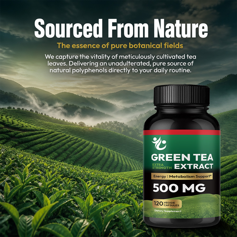 Cápsulas de Chá Verde - Aument - Green Tea Extract Fat avaliação e preço