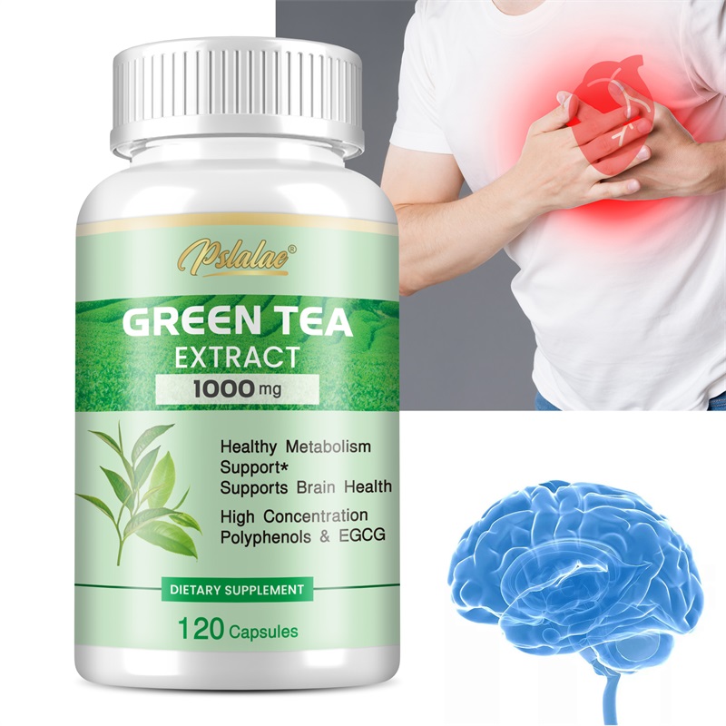 Extrato de chá verde - com 98% - Green Tea Extract Fat avaliação e preço
